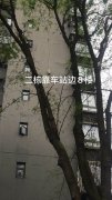 重庆外墙渗漏——重庆外墙渗漏施工哪家好？【质量保证】